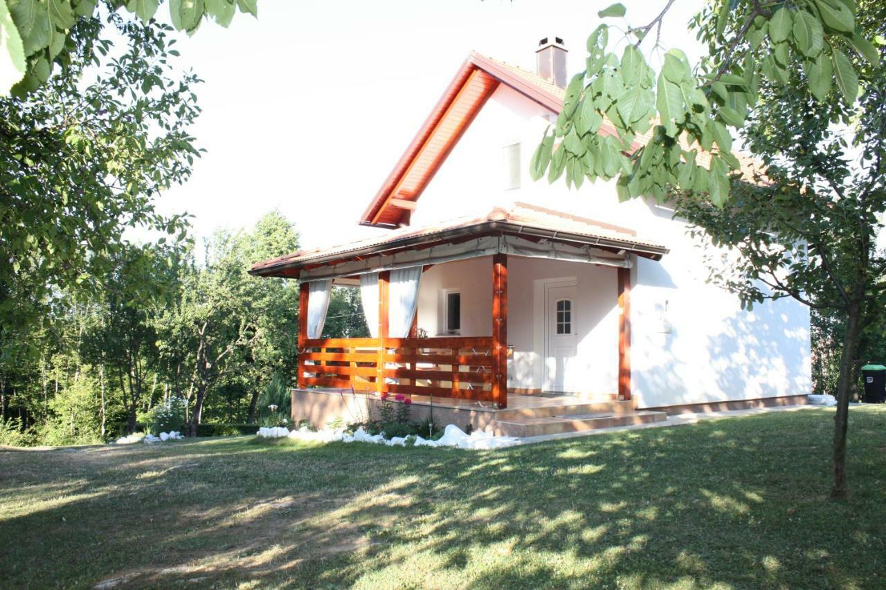 D.I.M. Holiday House Villa Selište Drežničko Buitenkant foto