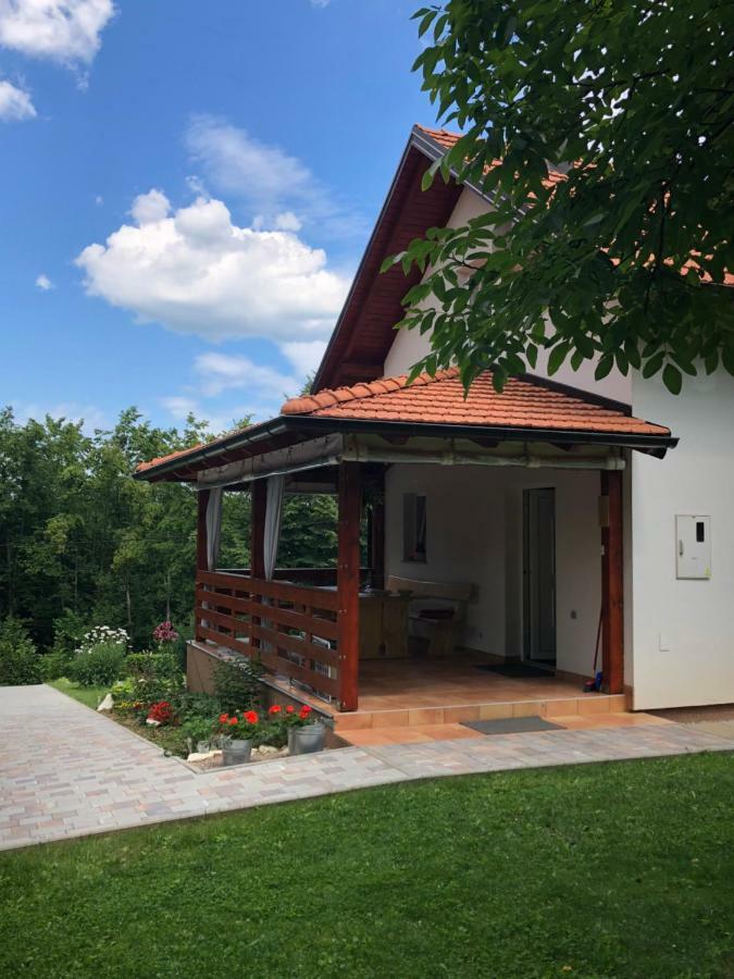 D.I.M. Holiday House Villa Selište Drežničko Buitenkant foto